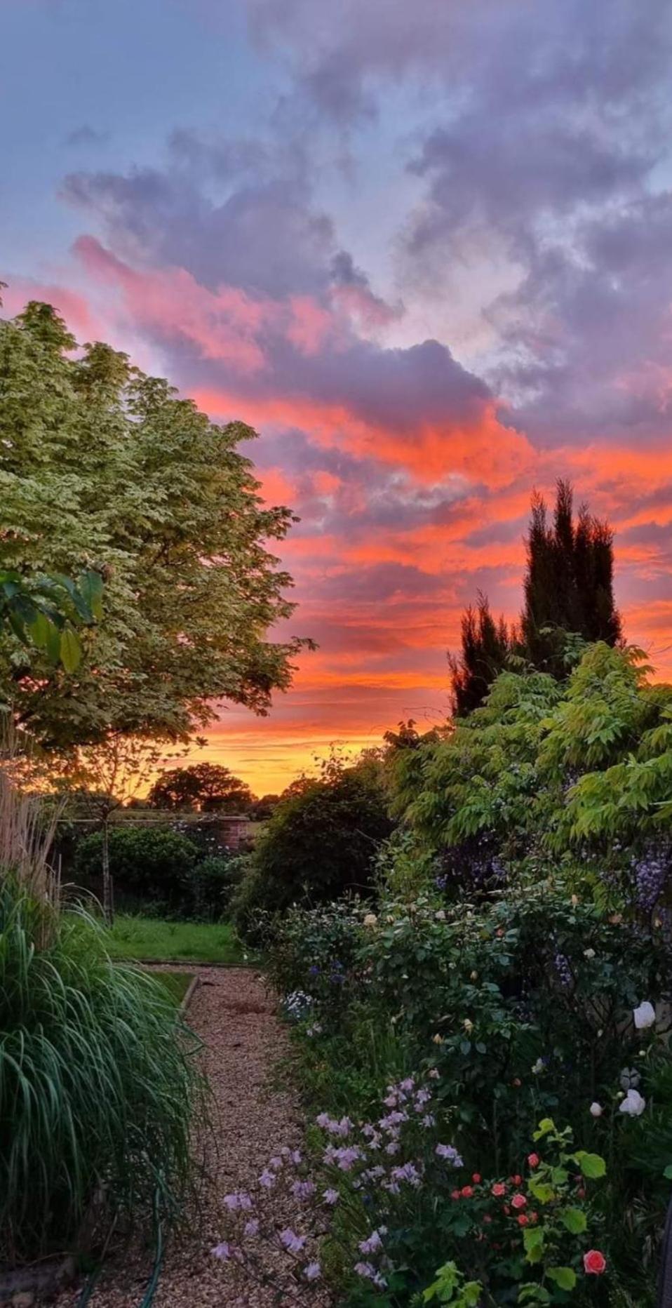 Begonia Cottage Briston Esterno foto