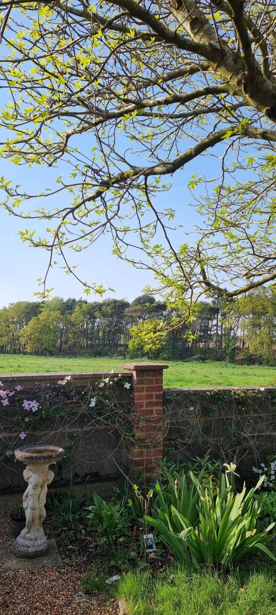 Begonia Cottage Briston Esterno foto