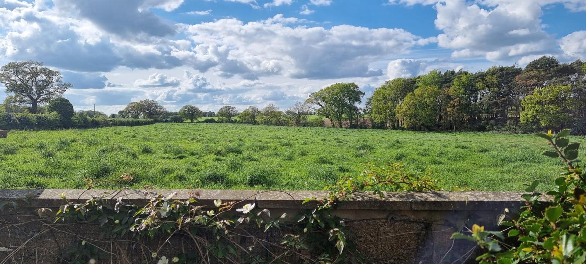 Begonia Cottage Briston Esterno foto
